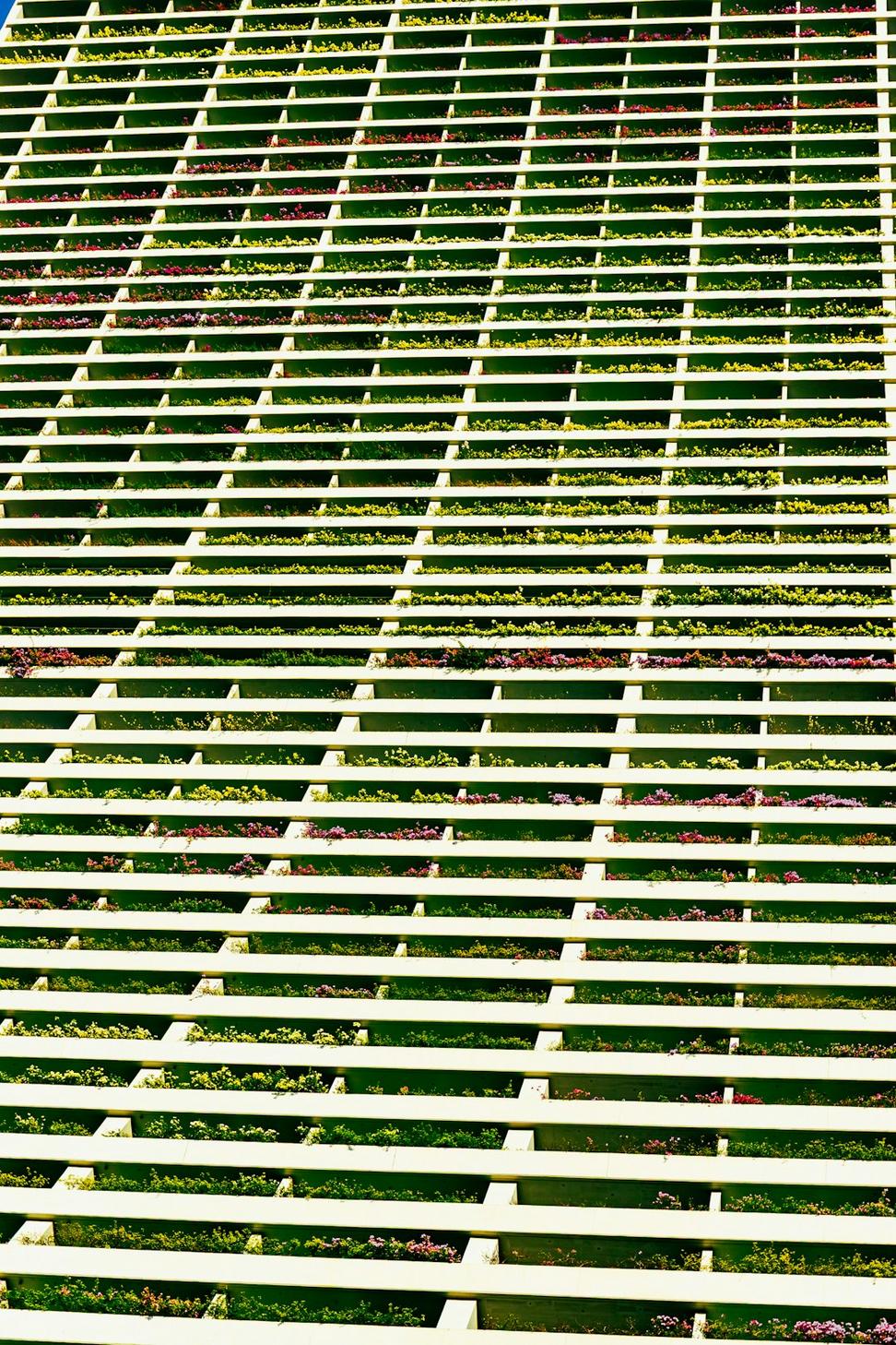 Green Roofs